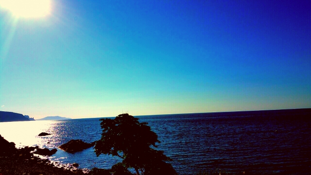 2015-07-22 11.50.54.jpg