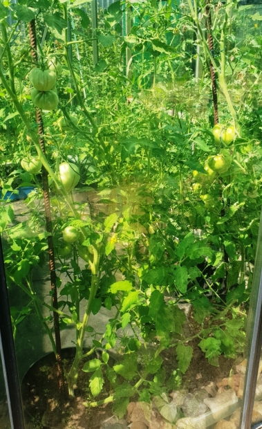 20180628_120617.jpg