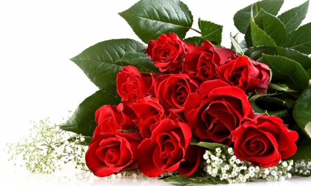 625_srrs-12.jpg