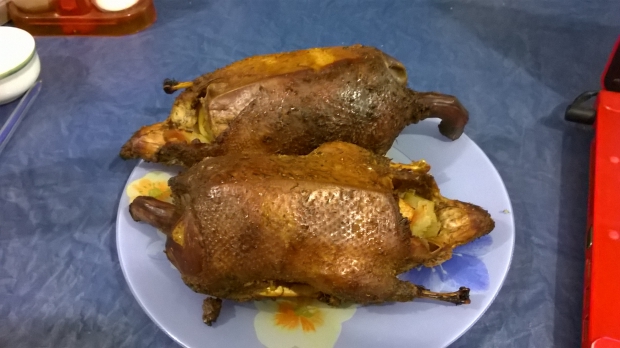 WP_20151002_19_32_23_Pro.jpg