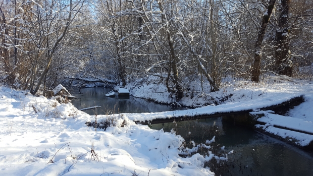 IMG-20190118-WA0036.jpeg