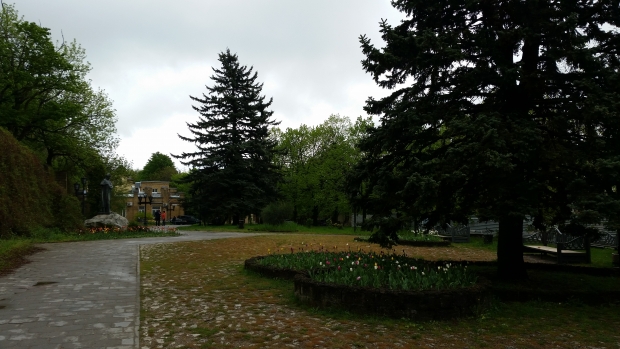 20190503_103711.jpg