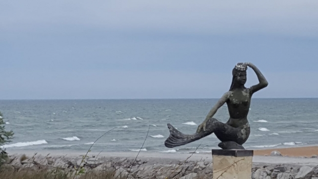 IMG-20190510-WA0017.jpg