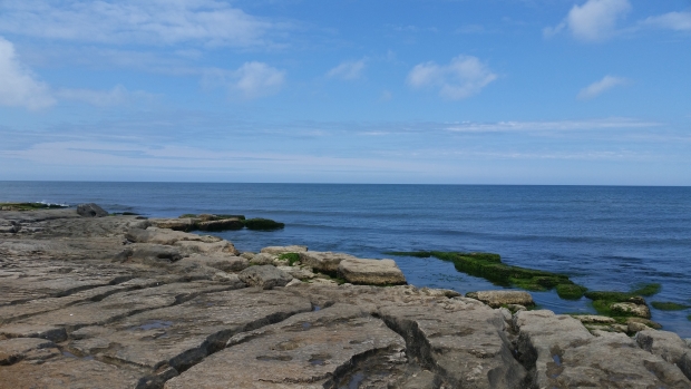 20190511_131307.jpg