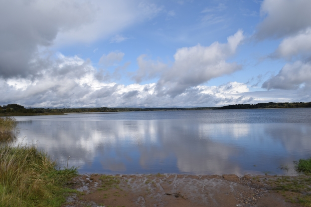 DSC_0068.JPG