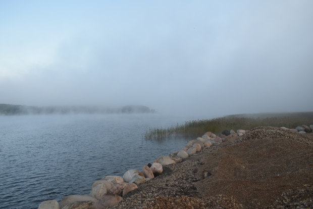 DSC_0207.JPG