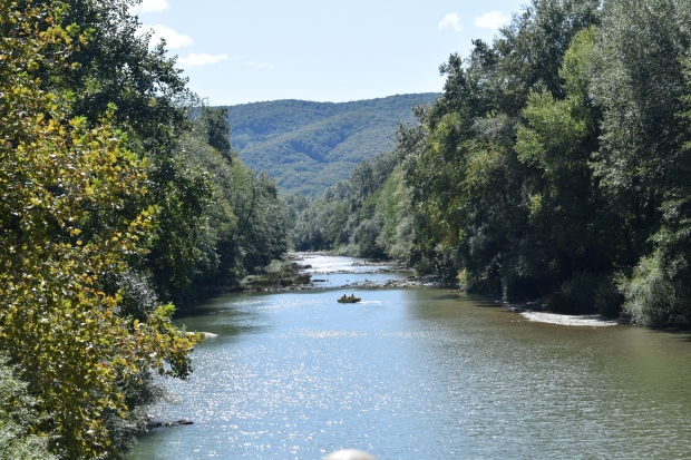 DSC_0249.JPG