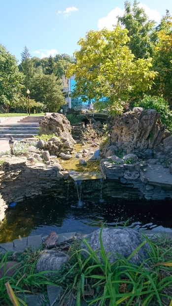 DSC_1461.JPG