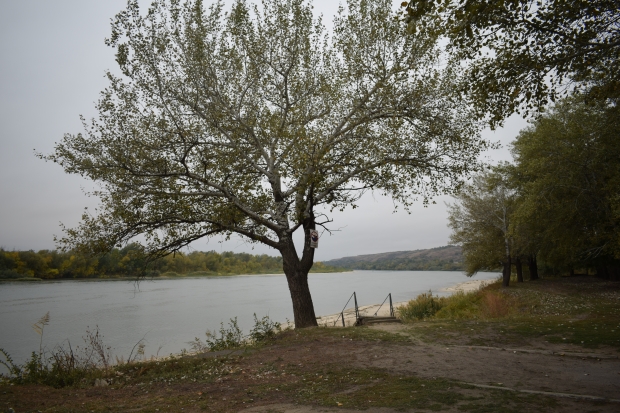 DSC_0290.JPG