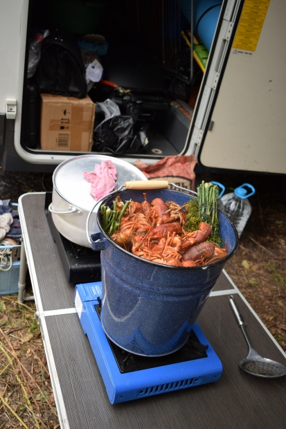 DSC_0312.JPG