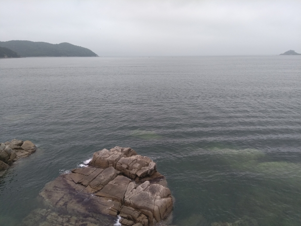 IMG_20190724_083930.jpg