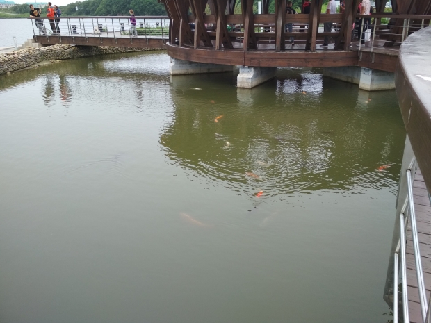 IMG_20190726_152704.jpg