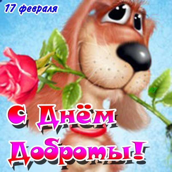 110234748_MGisrubUKzw.jpg
