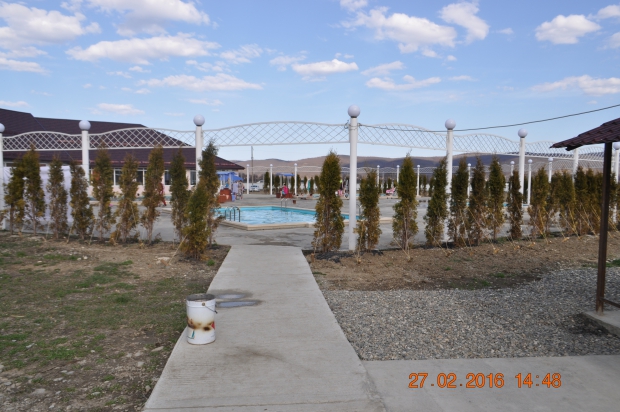 DSC_6829.JPG