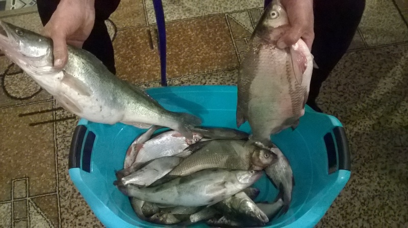 WP_20150327_001 2.jpg
