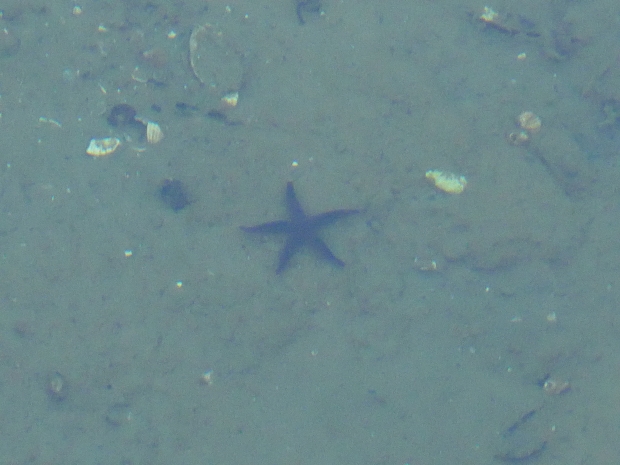 P1000746.JPG
