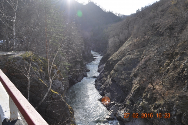 DSC_6945.JPG