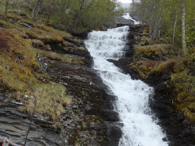 P1020132.JPG