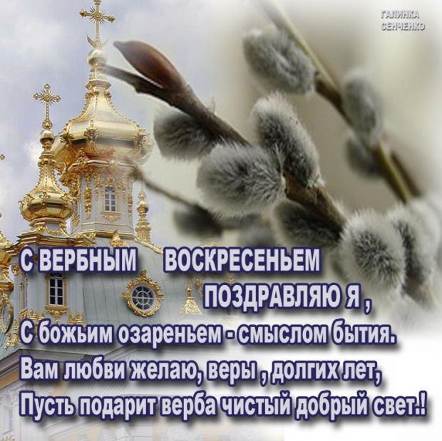 s_verbnim_voskresenem_pozdravljau_s_verbnim_voskresenem_pozdravljau.jpg
