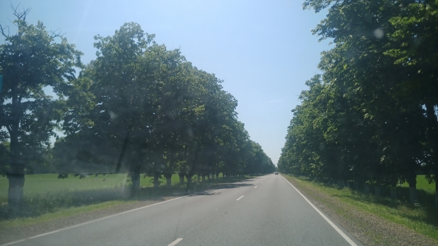 IMG_20210528_142707_201.jpg