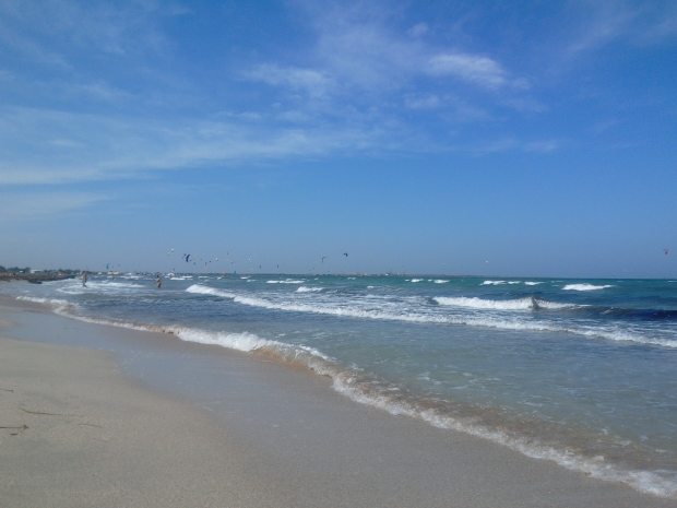 IMG_20210811_104818.jpg