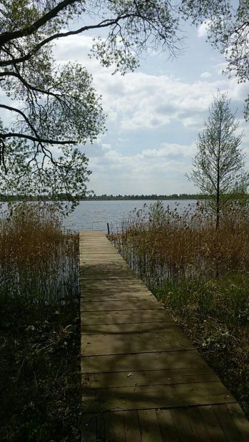 64c71df6850c79cb69ae98c5fc22e658c8df9d1f5065113c98866495d6ec5ef1_full.jpg