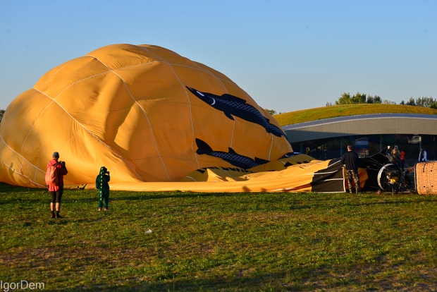 _DSC5536.jpg