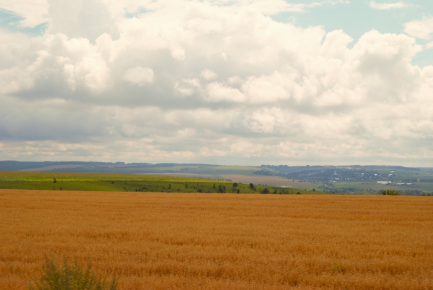 DSC_0048.jpg