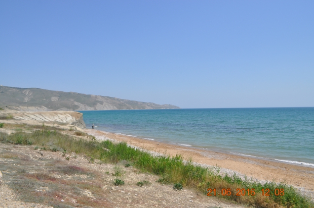 DSC_8445.JPG