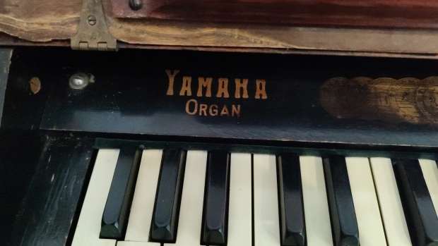 IMG-20250506-WA0024.jpeg