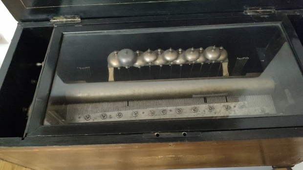 IMG-20250506-WA0022.jpeg
