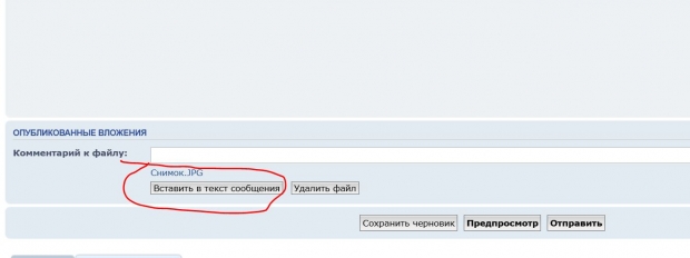 Снимок2.JPG
