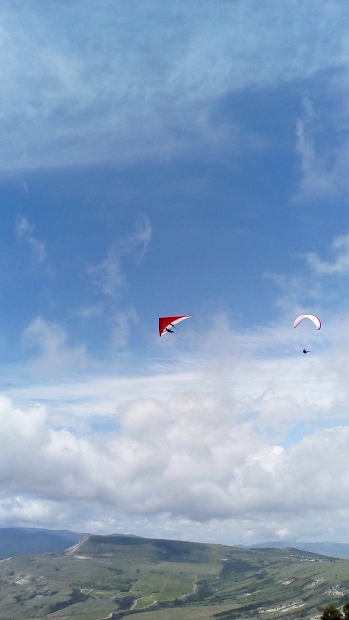 IMG_20160615_105330.jpg