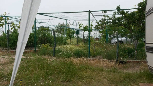 6 Зона барбикю.jpg