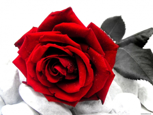 942371cb798a3d213d5ed7d97a0436e2.jpeg