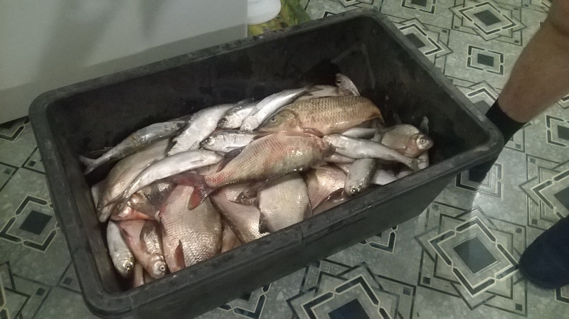 WP_20150419_002.1.jpg