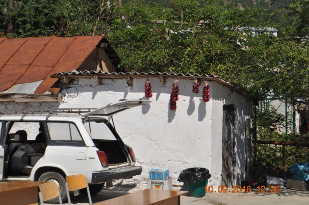 DSC_8911.JPG
