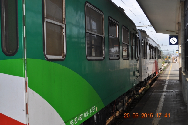 DSC_9161.JPG