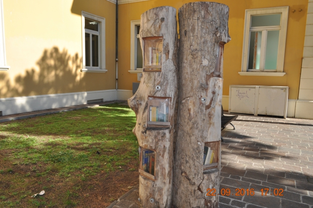 DSC_9277.JPG