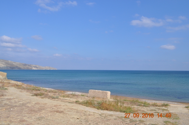 DSC_9303.JPG