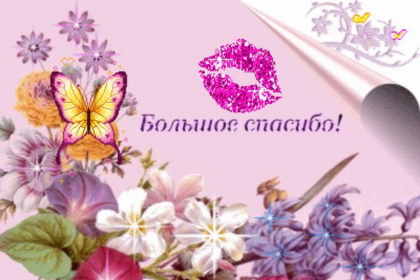 02ecaae63238c15d4c0e74d9e562040f.jpg