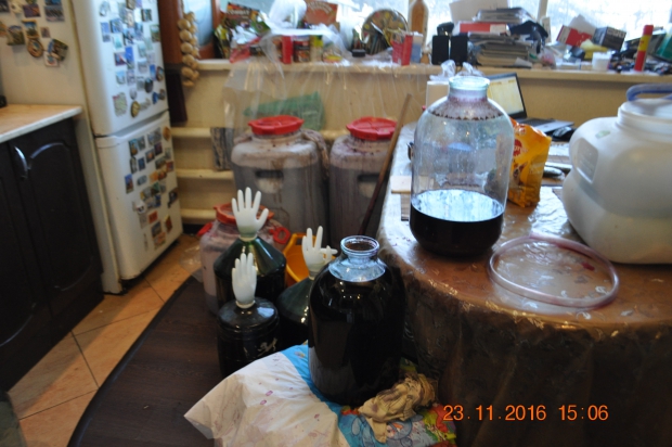 DSC_9581.JPG