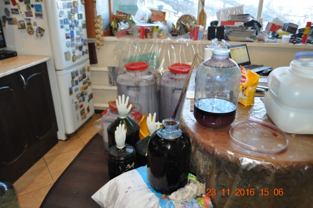 DSC_9582.JPG
