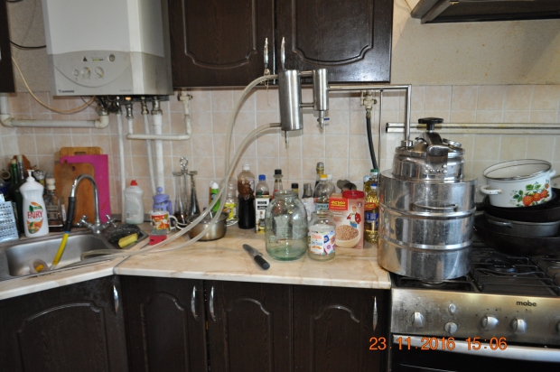 DSC_9584.JPG