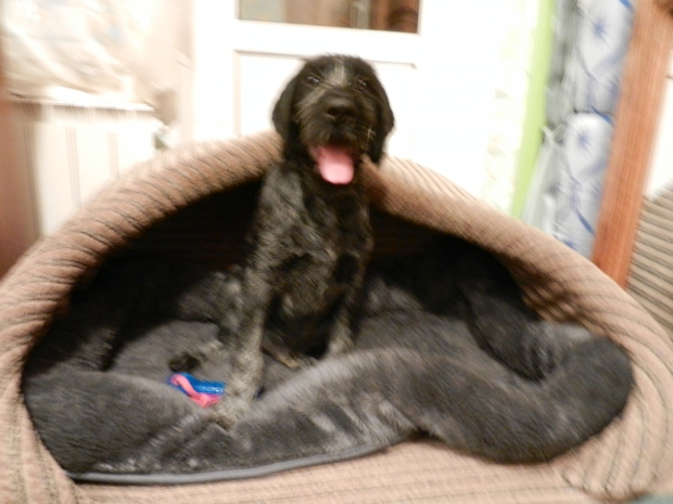DSCN4419.JPG