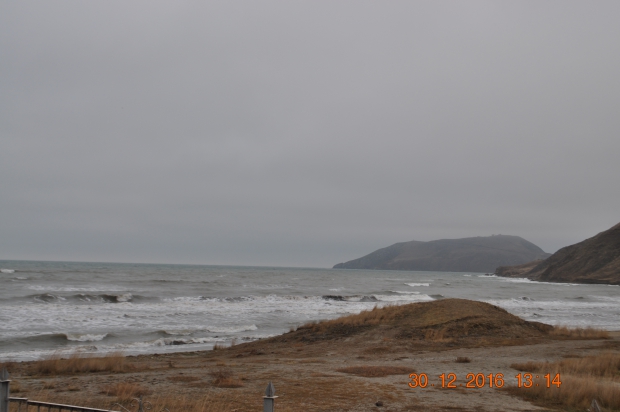 DSC_9611.JPG