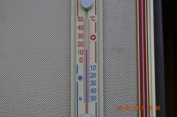 DSC_0006.JPG
