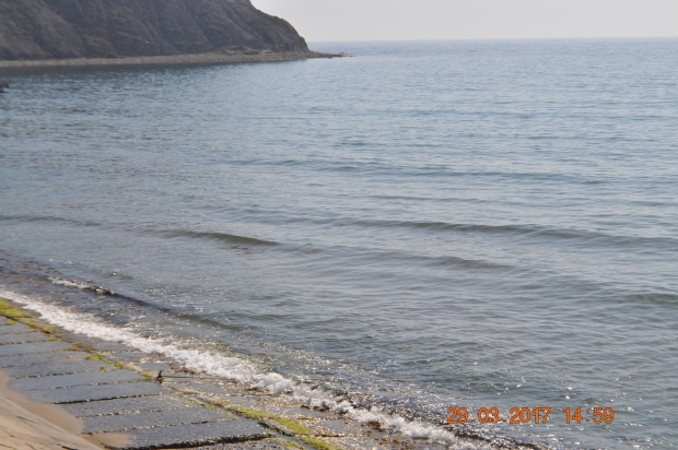 DSC_0002.JPG