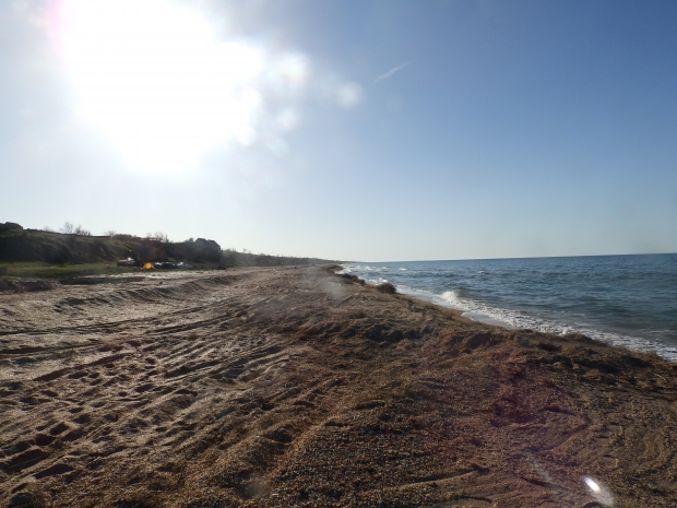 P1011137.JPG