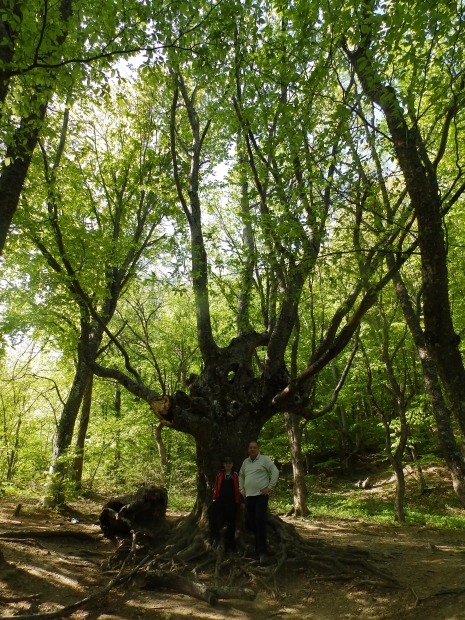 P1011174.JPG